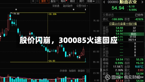 股价闪崩，300085火速回应-第2张图片
