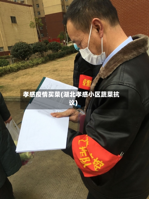 孝感疫情买菜(湖北孝感小区蔬菜抗议)