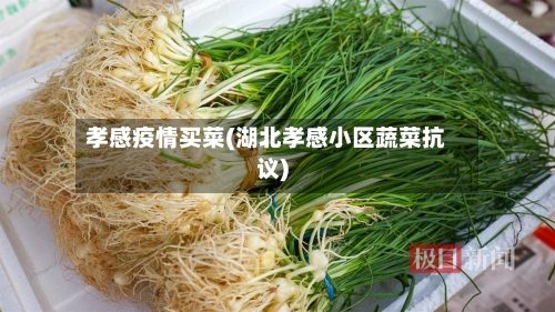 孝感疫情买菜(湖北孝感小区蔬菜抗议)-第2张图片