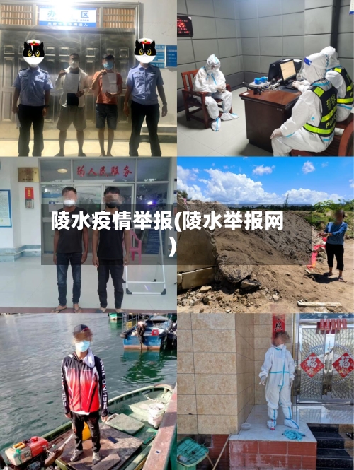 陵水疫情举报(陵水举报网)-第2张图片