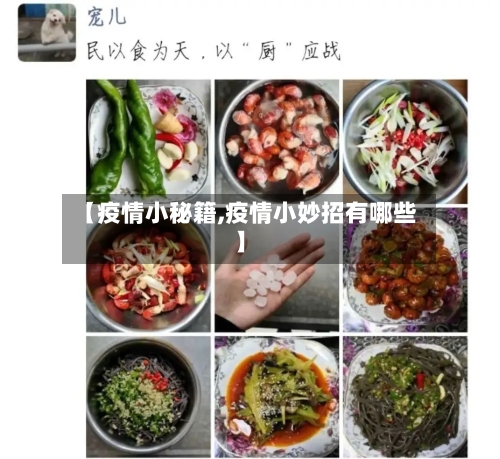 【疫情小秘籍,疫情小妙招有哪些】