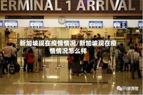 新加坡现在疫情情况/新加坡现在疫情情况怎么样-第2张图片