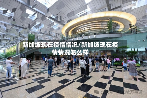 新加坡现在疫情情况/新加坡现在疫情情况怎么样-第3张图片