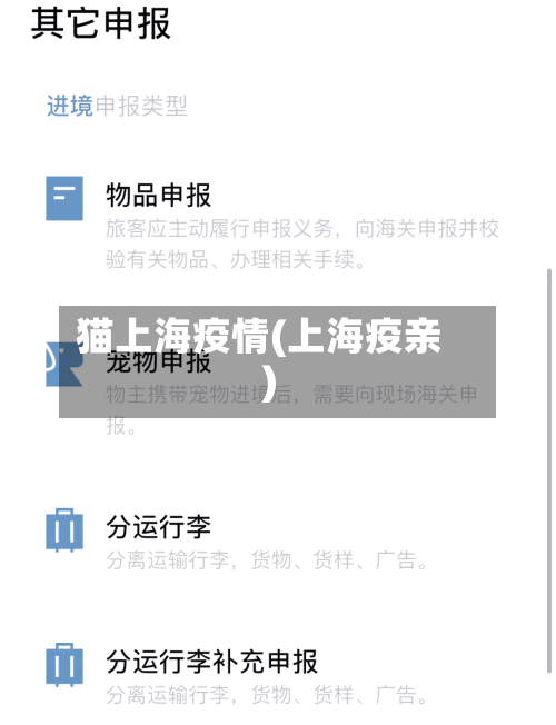 猫上海疫情(上海疫亲)-第2张图片
