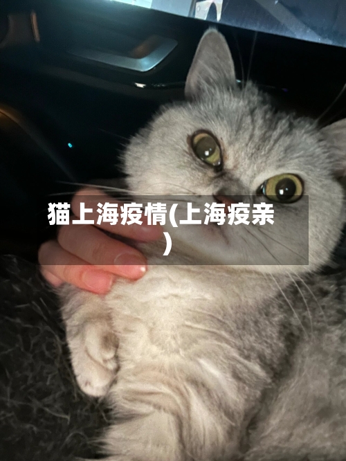 猫上海疫情(上海疫亲)