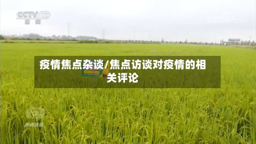 疫情焦点杂谈/焦点访谈对疫情的相关评论-第3张图片