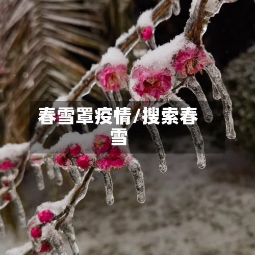 春雪罩疫情/搜索春雪