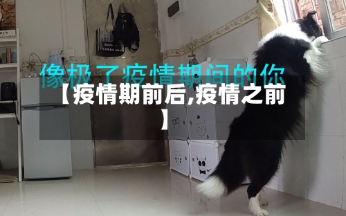 【疫情期前后,疫情之前】-第2张图片