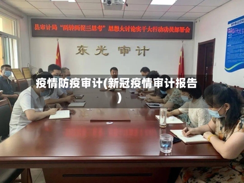 疫情防疫审计(新冠疫情审计报告)