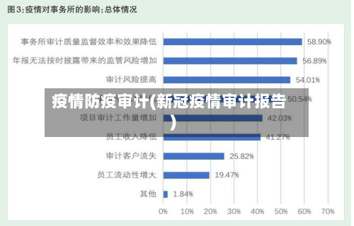 疫情防疫审计(新冠疫情审计报告)-第3张图片