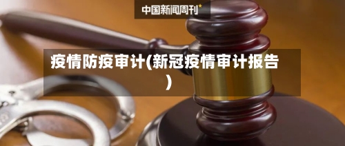 疫情防疫审计(新冠疫情审计报告)-第2张图片
