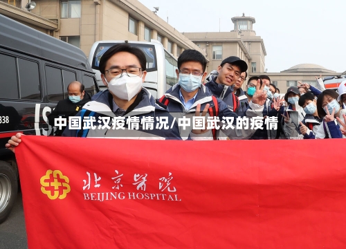 中国武汉疫情情况/中国武汉的疫情-第2张图片