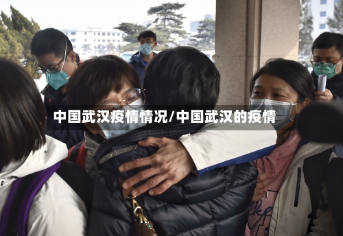 中国武汉疫情情况/中国武汉的疫情
