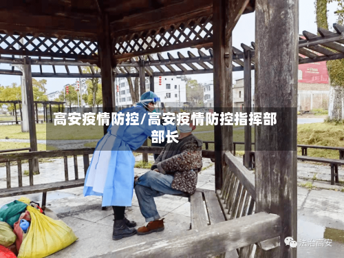 高安疫情防控/高安疫情防控指挥部部长