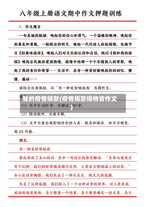 我的疫情捐款(疫情捐款捐物资作文)