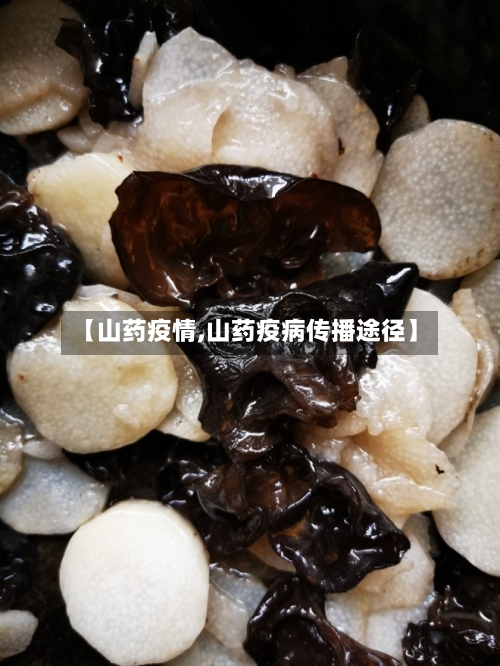 【山药疫情,山药疫病传播途径】