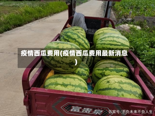 疫情西瓜费用(疫情西瓜费用最新消息)