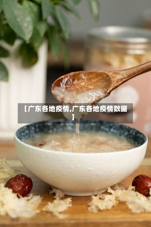 【广东各地疫情,广东各地疫情数据】