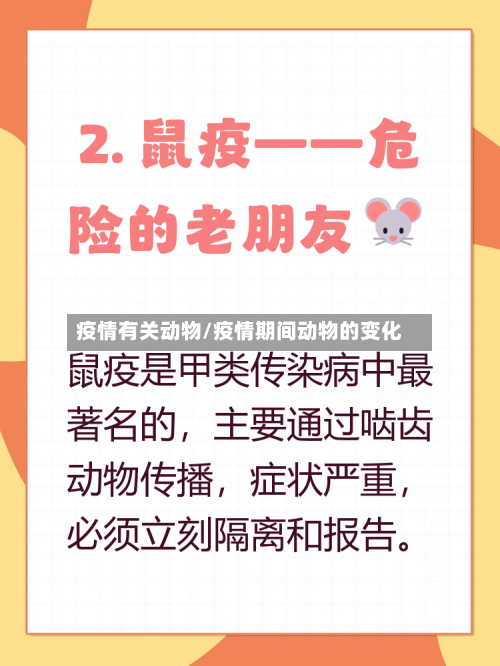 疫情有关动物/疫情期间动物的变化-第2张图片