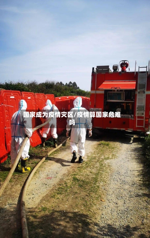 国家成为疫情灾区/疫情算国家危难吗