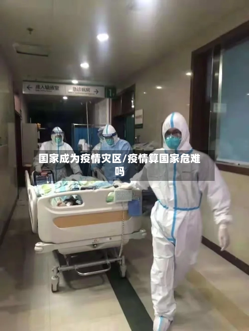 国家成为疫情灾区/疫情算国家危难吗-第2张图片