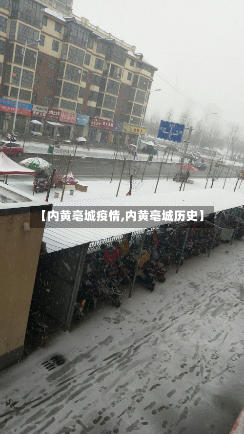 【内黄亳城疫情,内黄亳城历史】-第3张图片