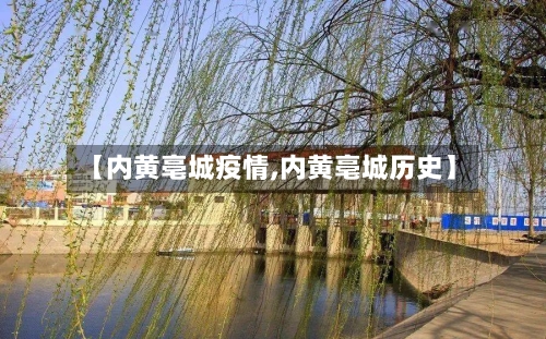 【内黄亳城疫情,内黄亳城历史】
