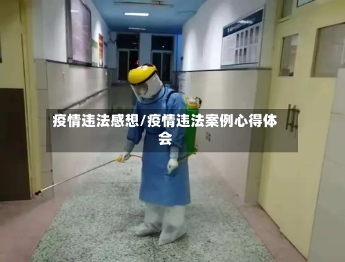 疫情违法感想/疫情违法案例心得体会-第3张图片