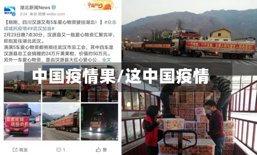 中国疫情果/这中国疫情