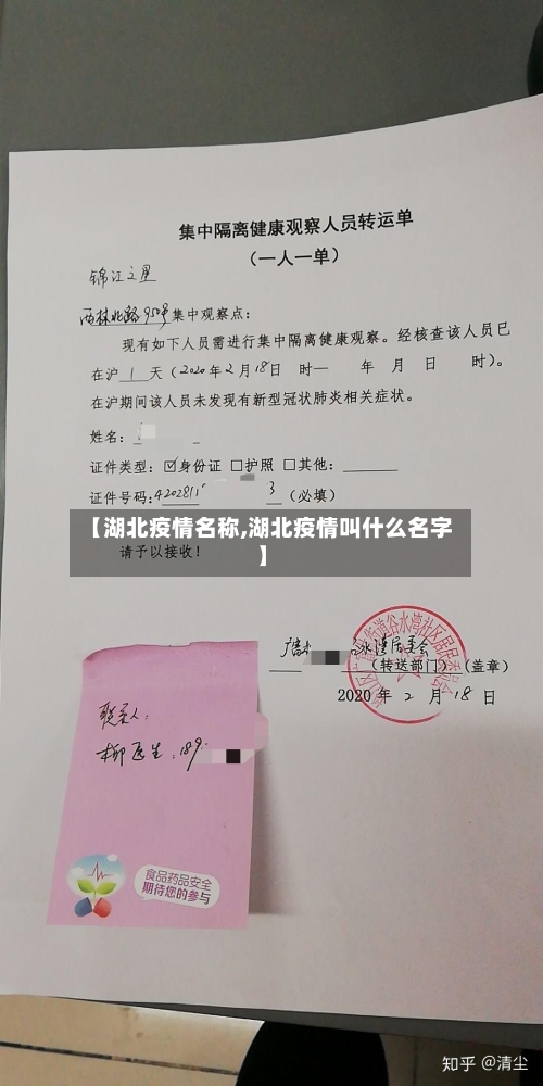 【湖北疫情名称,湖北疫情叫什么名字】-第2张图片