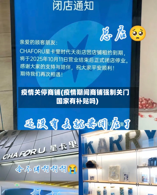 疫情关停商铺(疫情期间商铺强制关门国家有补贴吗)-第3张图片