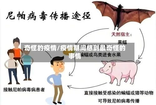 奇怪的疫情/疫情期间感到最奇怪的事情-第3张图片