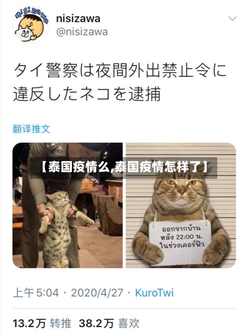 【泰国疫情么,泰国疫情怎样了】-第3张图片