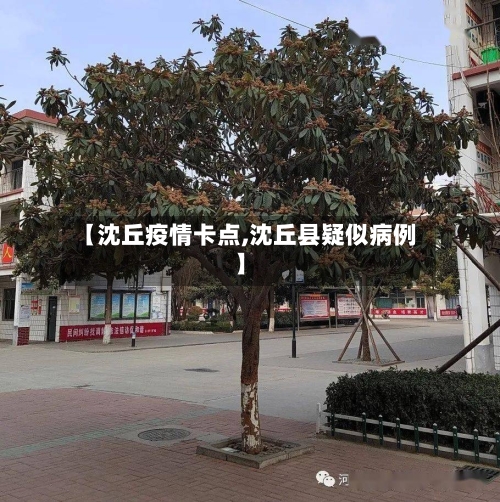 【沈丘疫情卡点,沈丘县疑似病例】-第2张图片