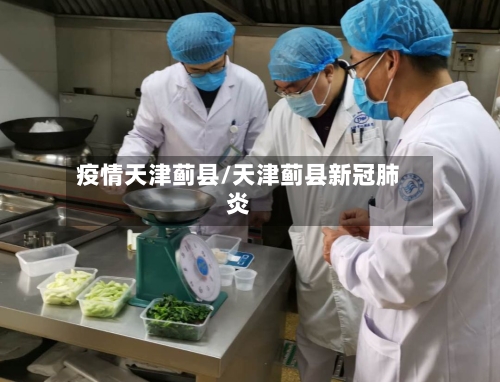 疫情天津蓟县/天津蓟县新冠肺炎-第3张图片