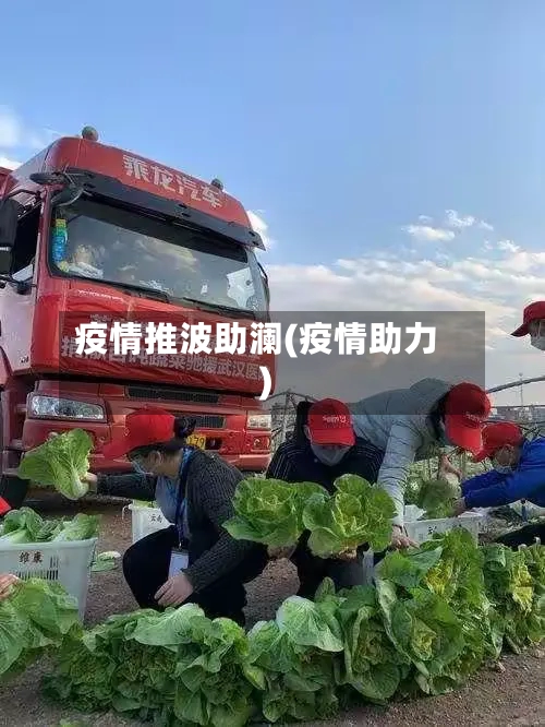 疫情推波助澜(疫情助力)-第2张图片