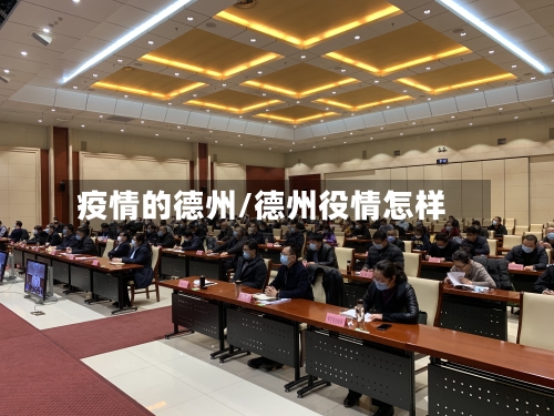 疫情的德州/德州役情怎样