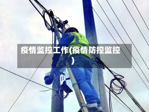 疫情监控工作(疫情防控监控)