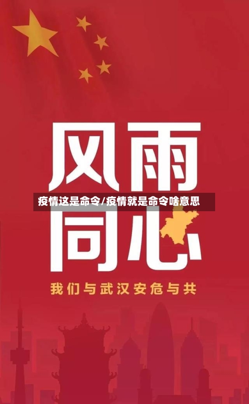 疫情这是命令/疫情就是命令啥意思