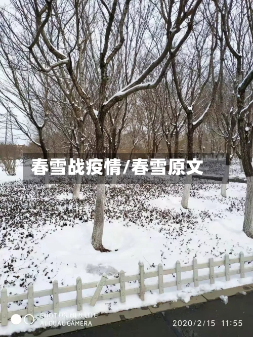 春雪战疫情/春雪原文