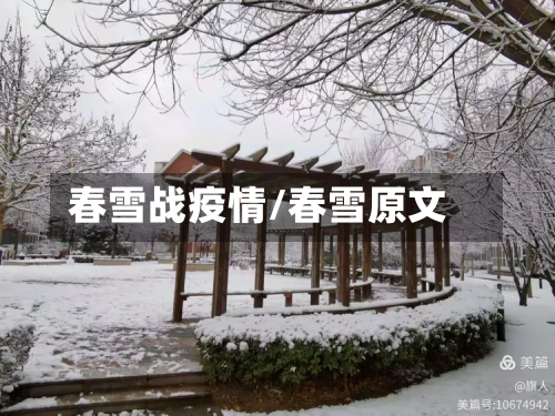 春雪战疫情/春雪原文-第3张图片