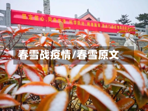 春雪战疫情/春雪原文-第2张图片
