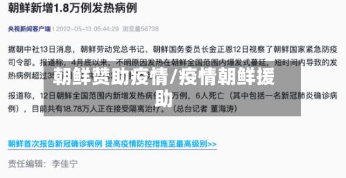 朝鲜赞助疫情/疫情朝鲜援助