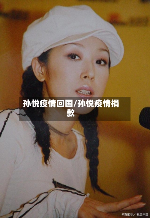 孙悦疫情回国/孙悦疫情捐款-第3张图片