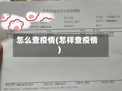 怎么查疫情(怎样查疫情)