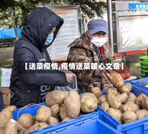 【送菜疫情,疫情送菜暖心文章】