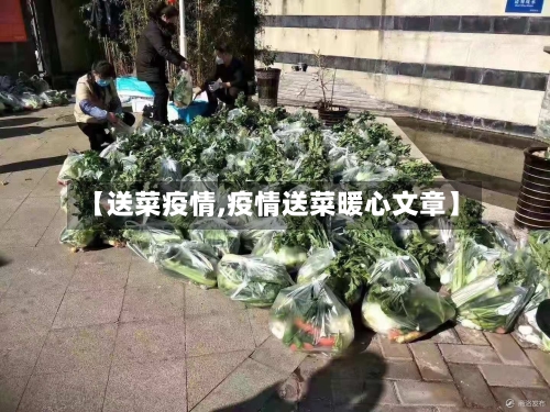 【送菜疫情,疫情送菜暖心文章】-第3张图片