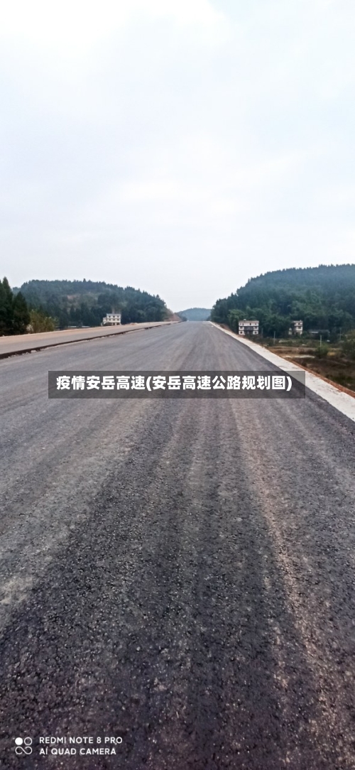 疫情安岳高速(安岳高速公路规划图)