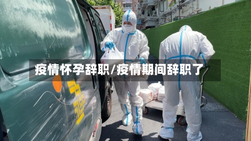 疫情怀孕辞职/疫情期间辞职了-第2张图片