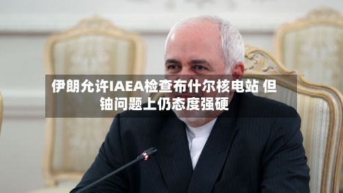 伊朗允许IAEA检查布什尔核电站 但铀问题上仍态度强硬